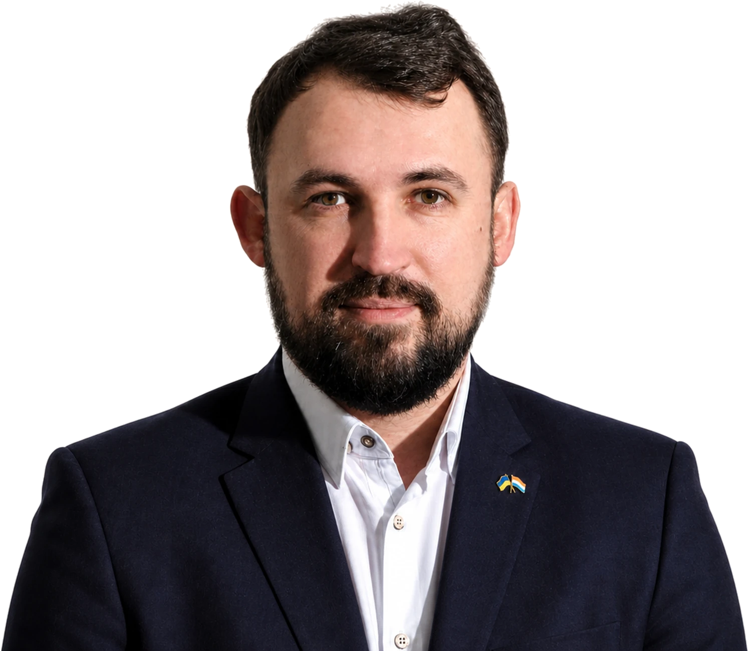 Nicolas Zharov, LUkraine Committee
